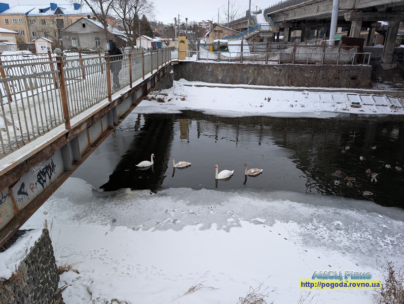 погода Рівне погода Рівне