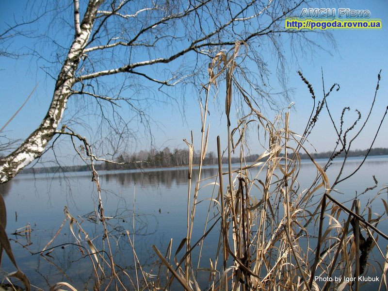 Погода Рівне