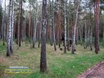 Осінь, вересень місяць