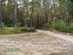 Осінній ліс Рівненщини