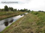 Українське Полісся, Зарічненський район