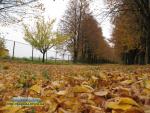 Золота осінь, аеропорт Рівне