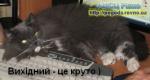 травневі свята 2013