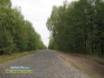 Рівненська область, Зарічнянський район, бруківка