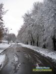 зима грудень Рівне