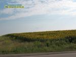 село Шлях (Верхів) Рівненська область