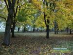 Осінь, кінець жовтня місяця