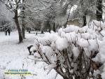 лютий 2015 у місті Рівне