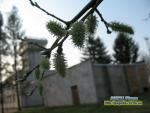 весна 2015 рівнодення Рівне