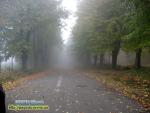 Осінній туман