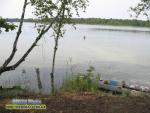 погода рівне