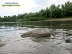 погода ровно