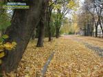Барви осені