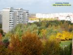 Барви осені