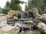 Рівне, парк Молоді, Лебединка
