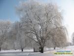 погода Ровно