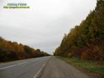 Фарби осені