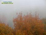 Вранішній туман
