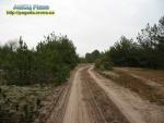 Дорогами Українського Полісся