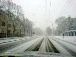 Морозом і березень на ніс сідає