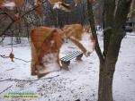 Прогноз погоди на 21-24 грудня
