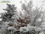 Зима на прощання гримне дверима