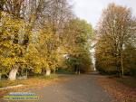 Осінній краєвид