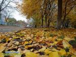 Осінь 