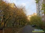 Золота осінь