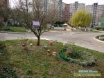 Погода по місту Рівне