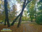 чарівна осінь