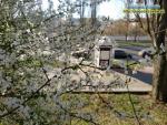 Прогноз погоди по місту Рівне